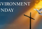 Environment Sunday