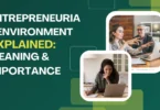 Entrepreneurial Environment Explained Meaning & Importance