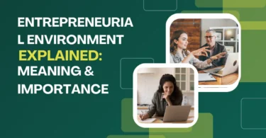 Entrepreneurial Environment Explained Meaning & Importance