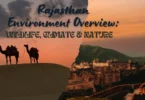 Rajasthan Environment Overview Wildlife, Climate & Nature
